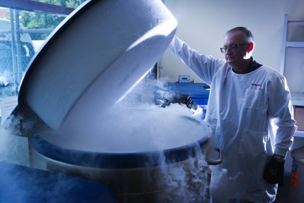 Cryonics in Humans
